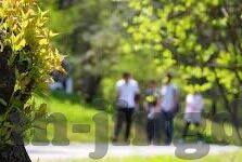 麻豆传媒合集下载-麻豆传媒合集下载，揭开网络媒介的多样化与便利性