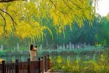 日韩欧美在线av-探索全球成人娱乐内容的多元化视角，日韩、欧美在线AV的魅力与影响