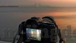 糖心vlog兑换码在哪-糖心VLOSO探索之旅，解锁糖心Vlog兑换码的奇妙旅程